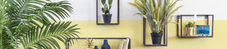 Wand decoratie